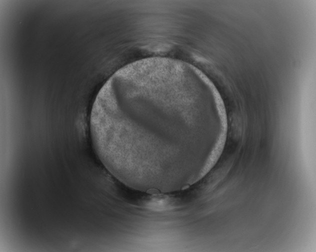 X0000089700612200707201742