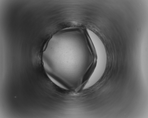 X0000089700613200707201742