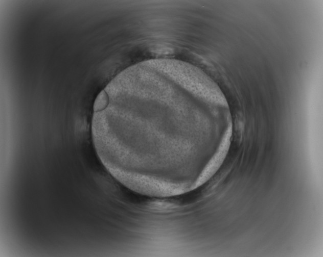 X0000089700614200707201742