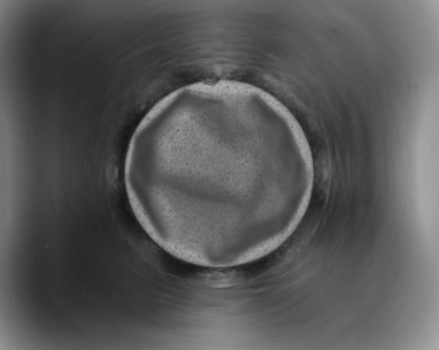 X0000089700615200707201742
