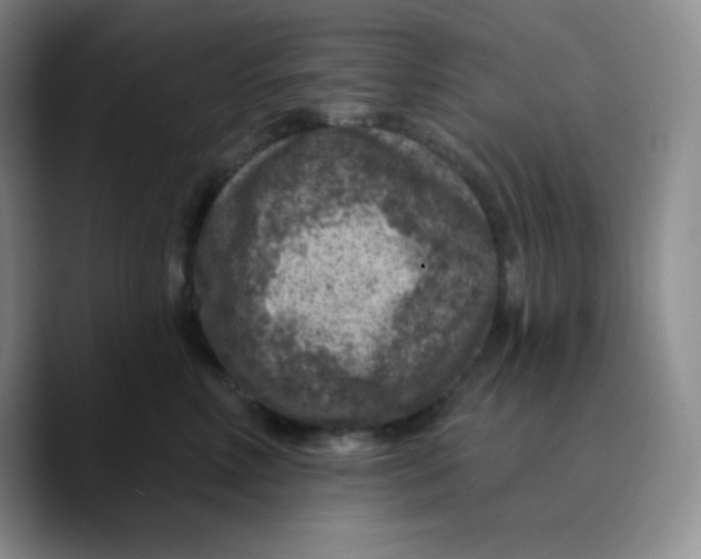 X0000089700618200707201742