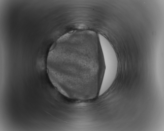 X0000089700620200707201741