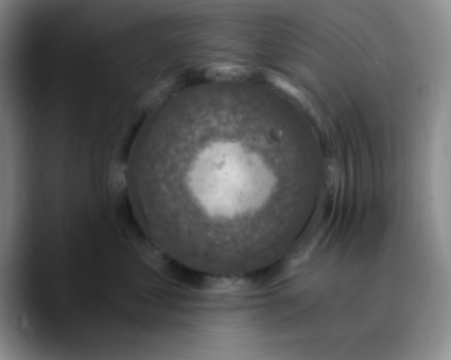 X0000089700621200707201741