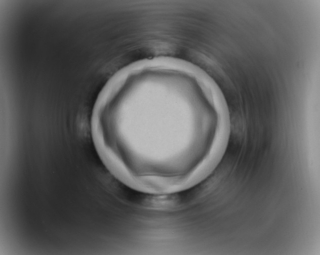X0000089700622200707201741