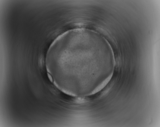 X0000089700623200707201741