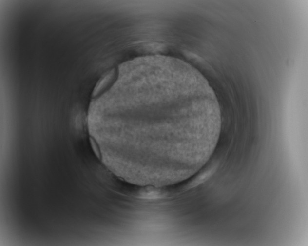 X0000089700624200707201741