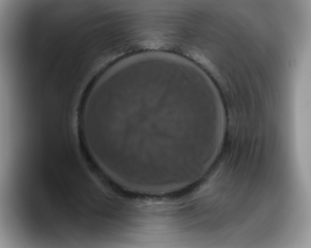 X0000089700626200707201741