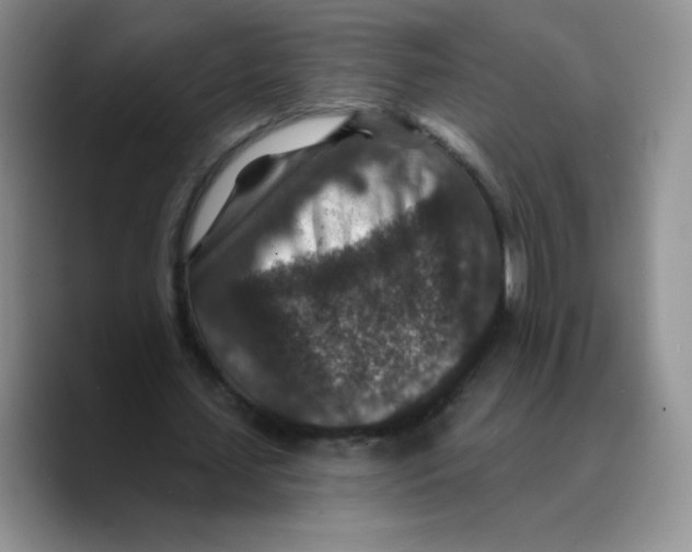 X0000089700627200707201741