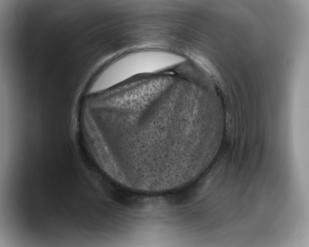 X0000089700628200707201741