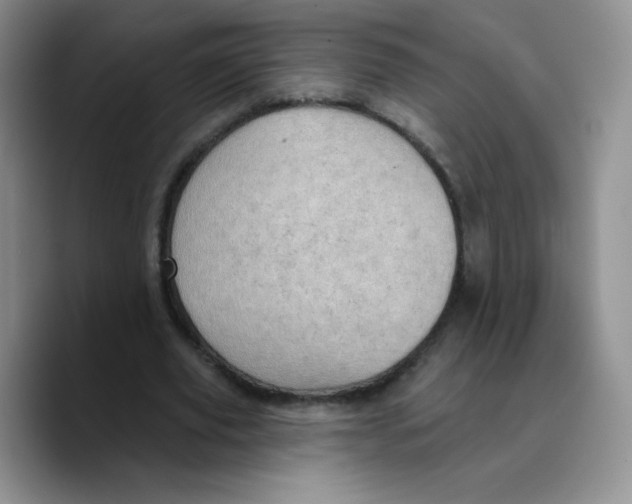 X0000089700629200707201741