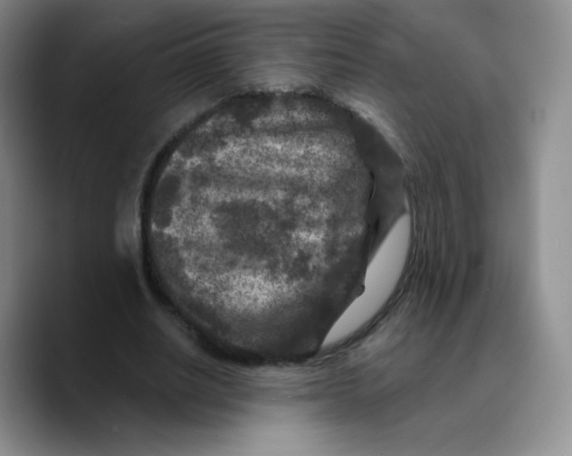 X0000089700630200707201741