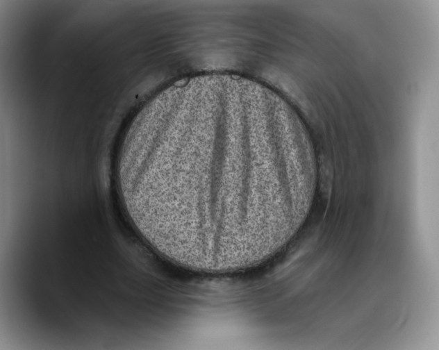 X0000089700631200707201741