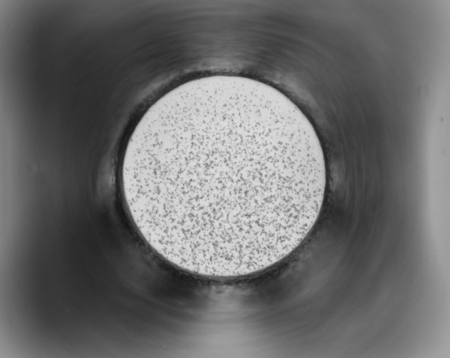 X0000089700632200707201741
