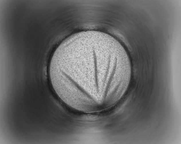 X0000089700633200707201741