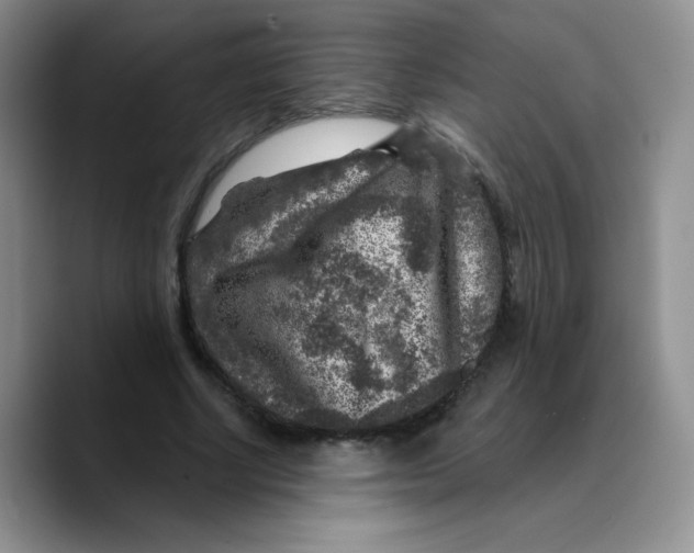 X0000089700634200707201741
