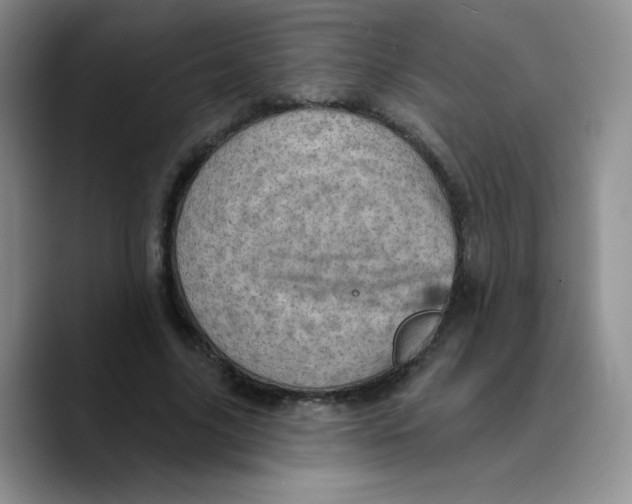 X0000089700635200707201741