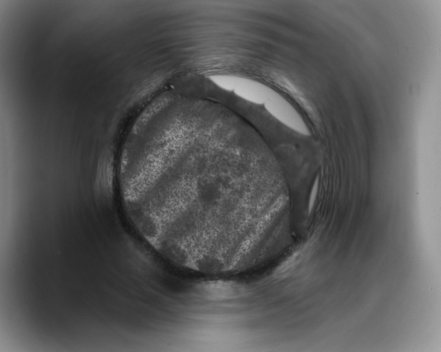 X0000089700637200707201741