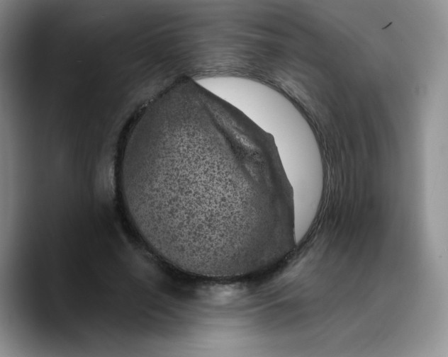 X0000089700638200707201741