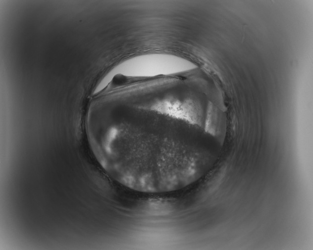 X0000089700641200707201741