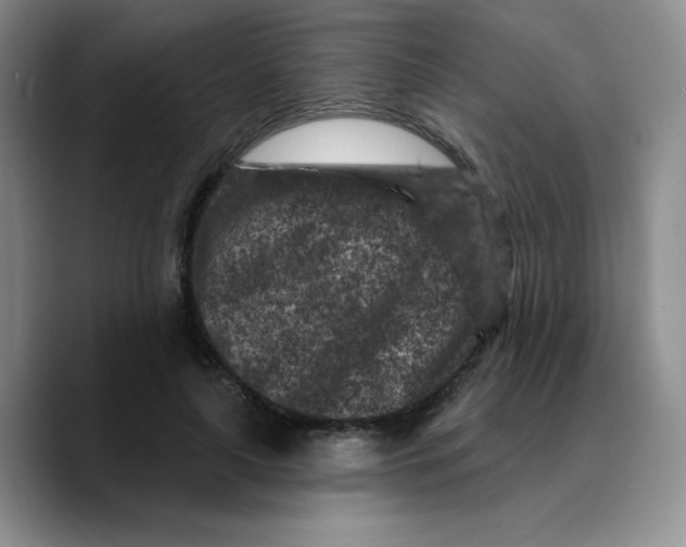 X0000089700643200707201741
