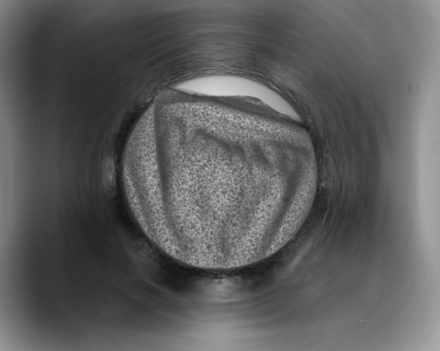 X0000089700646200707201741