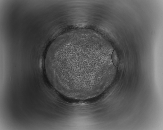 X0000089700647200707201741