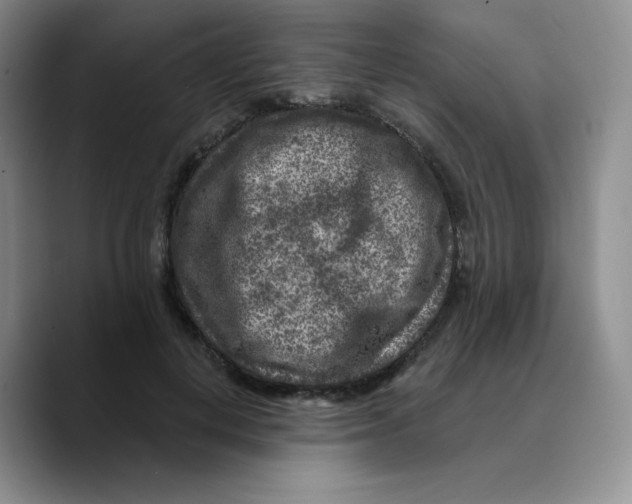 X0000089700648200707201741