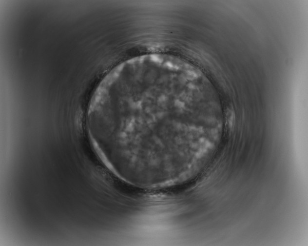 X0000089700650200707201741
