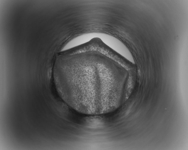X0000089700652200707201741