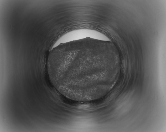 X0000089700653200707201741