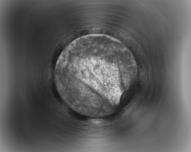 X0000089700654200707201741