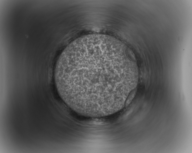 X0000089700656200707201741