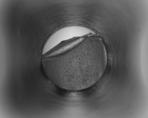 X0000089700657200707201741