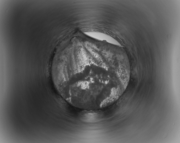 X0000089700658200707201741
