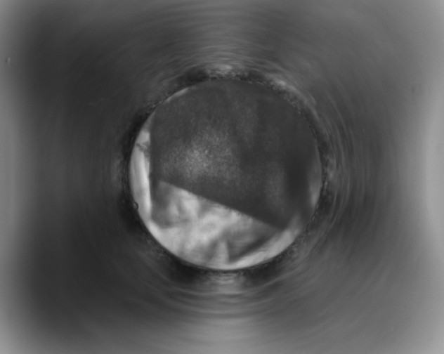 X0000089700659200707201741