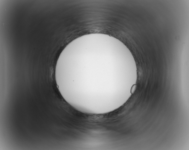 X0000089700660200707201741