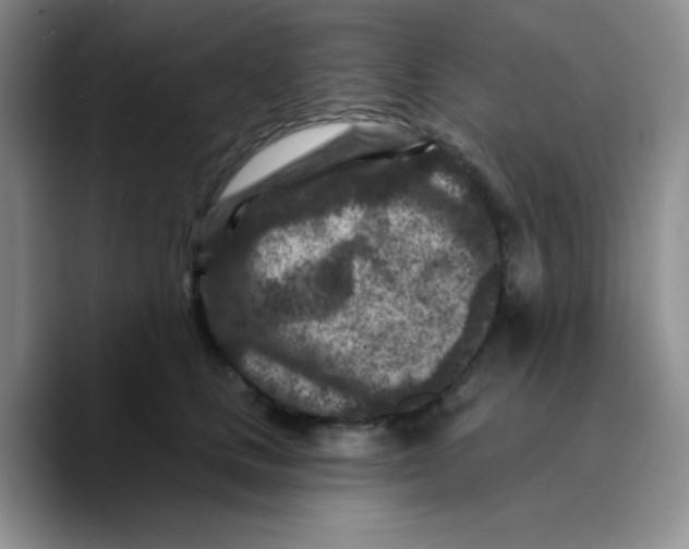 X0000089700661200707201741