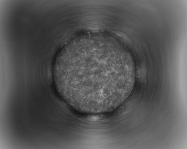 X0000089700662200707201741
