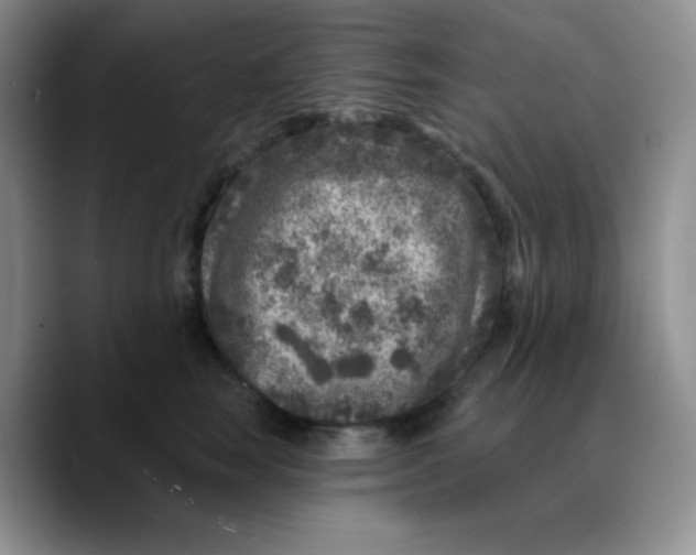 X0000089700663200707201741