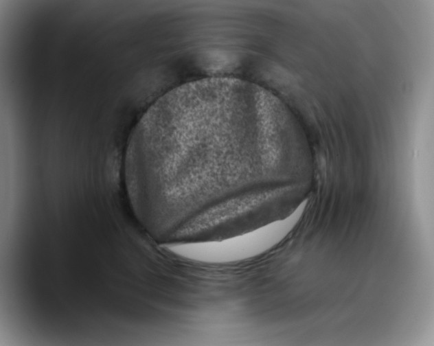 X0000089700664200707201741