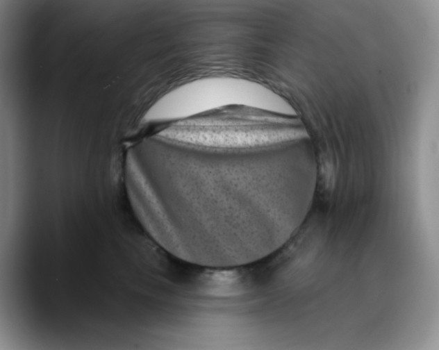 X0000089700665200707201741