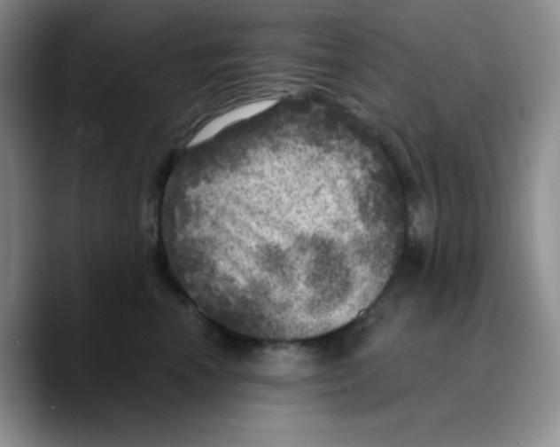 X0000089700666200707201741