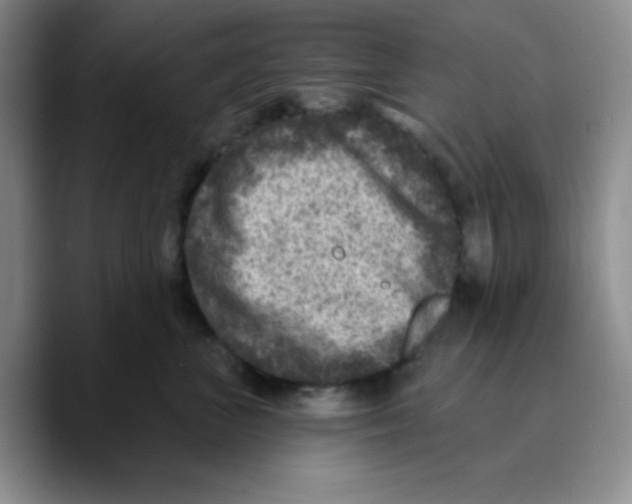 X0000089700667200707201741