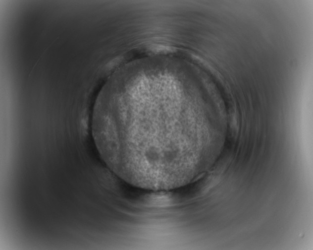 X0000089700668200707201741