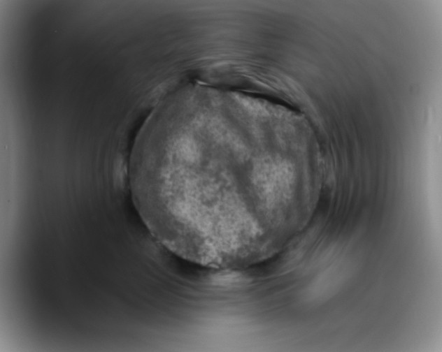 X0000089700669200707201741