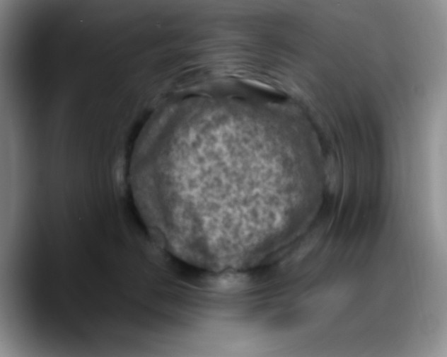 X0000089700670200707201741