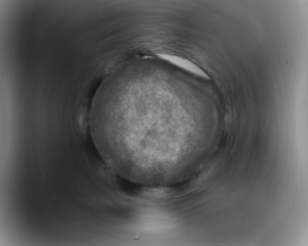 X0000089700671200707201741