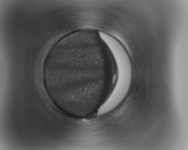 X0000089700673200707201741