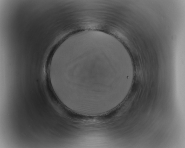 X0000089700674200707201741
