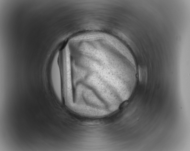 X0000089700675200707201741